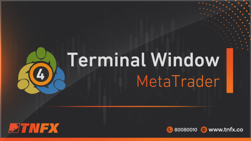 terminal-windows