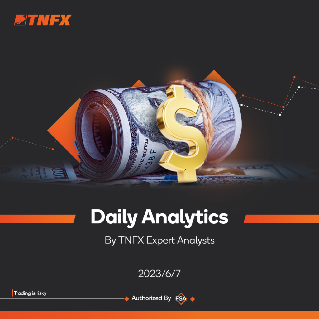 daily report